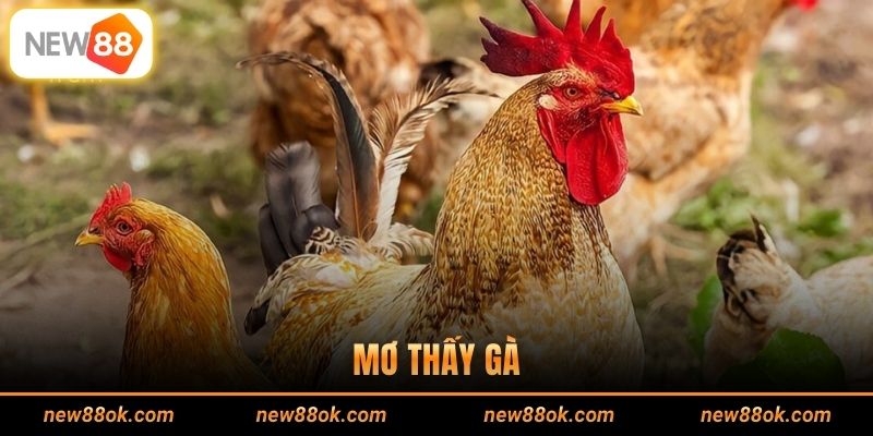 Mơ Thấy Gà - 12 Thông Điệp Khiến Bạn Phải Chiêm Nghiệm